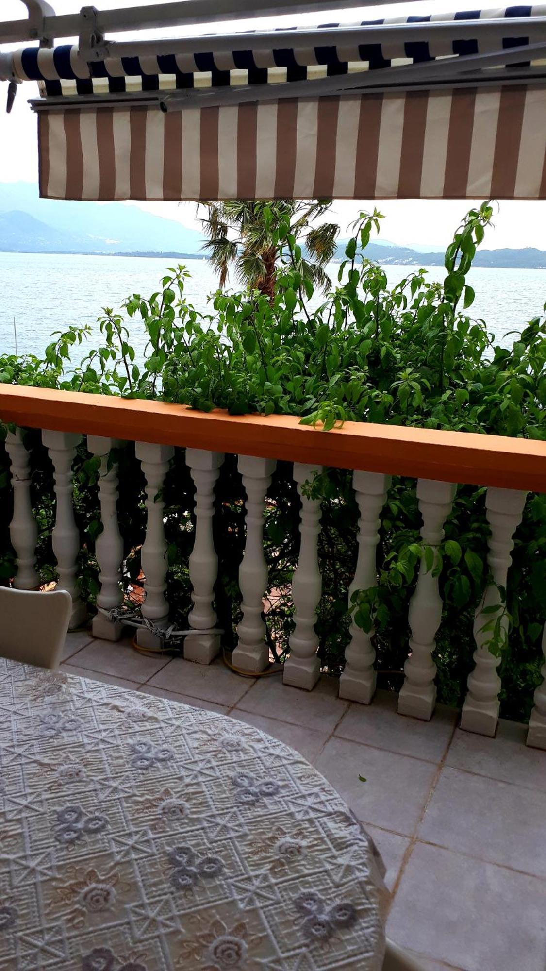Apartmani Kalinic Bijela Phòng bức ảnh